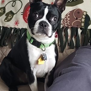 Meet your Posher, Margaret